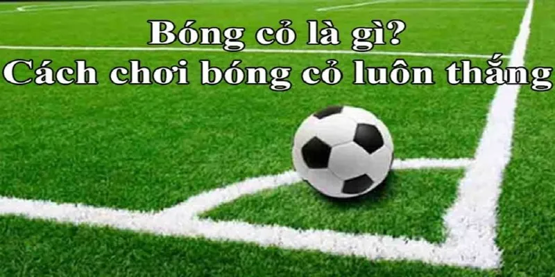 Khái niệm về bóng cỏ là gì?
