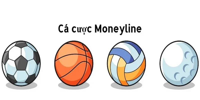 Cách đặt kèo Money chuẩn cho người mới