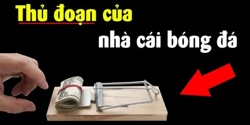 Bẫy Nhà Cái Là Gì? Mẹo Tránh Bẫy Nhà Cái Khi Cược Thể Thao