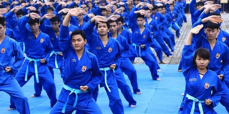 Tìm hiểu về môn võ Vovinam là gì?
