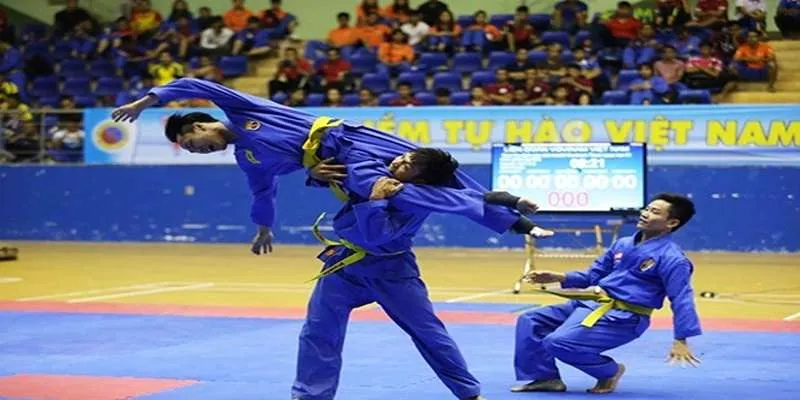 Các cấp độ và màu đai chính trong Vovinam