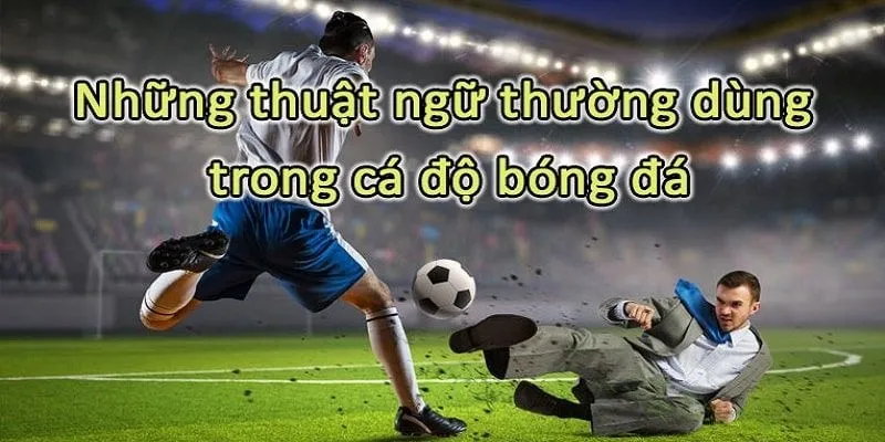 Thuật ngữ căn bản trong cá cược