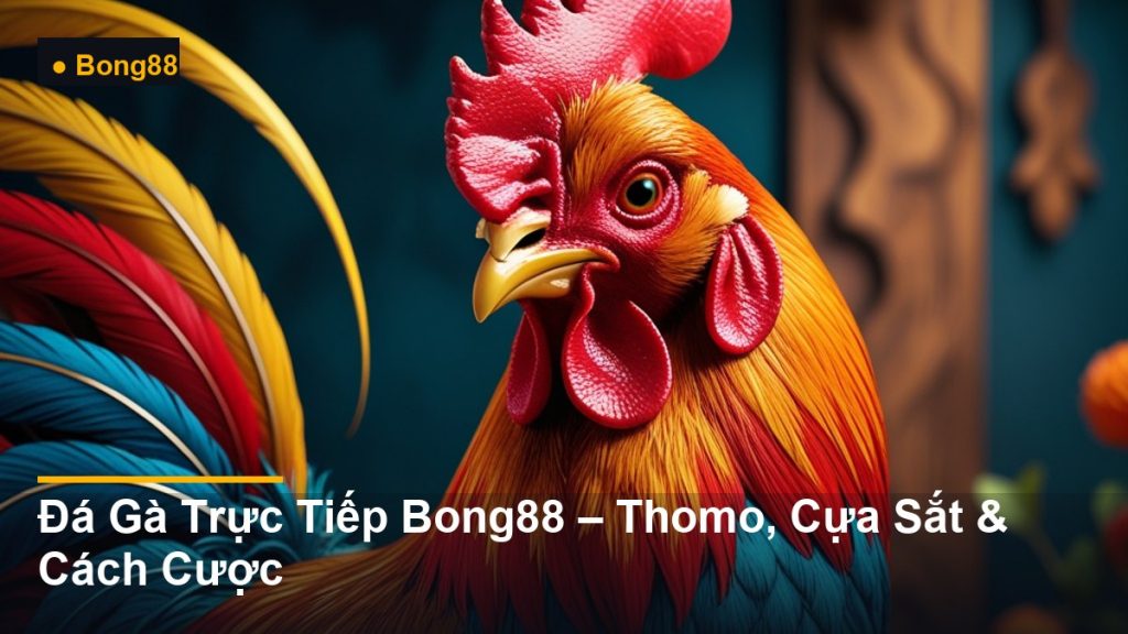 hình minh họa gà trống cách điệu - Đá Gà Trực Tiếp Bong88 – Thomo, Cựa Sắt & Cách Cược